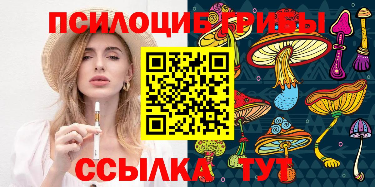 Клинцы  Псилоцибиновые грибы Psilocybine cubensis  Вход с VPN 